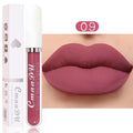 Sexy Long Lasting Velvet Matte Liquid Lipstick, Maquiagem, Mulheres Beleza, Vermelho, Antiaderente, Impermeável, Lip Gloss