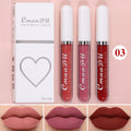 Sexy Long Lasting Velvet Matte Liquid Lipstick, Maquiagem, Mulheres Beleza, Vermelho, Antiaderente, Impermeável, Lip Gloss