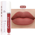 Sexy Long Lasting Velvet Matte Liquid Lipstick, Maquiagem, Mulheres Beleza, Vermelho, Antiaderente, Impermeável, Lip Gloss