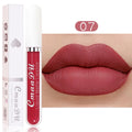 Sexy Long Lasting Velvet Matte Liquid Lipstick, Maquiagem, Mulheres Beleza, Vermelho, Antiaderente, Impermeável, Lip Gloss